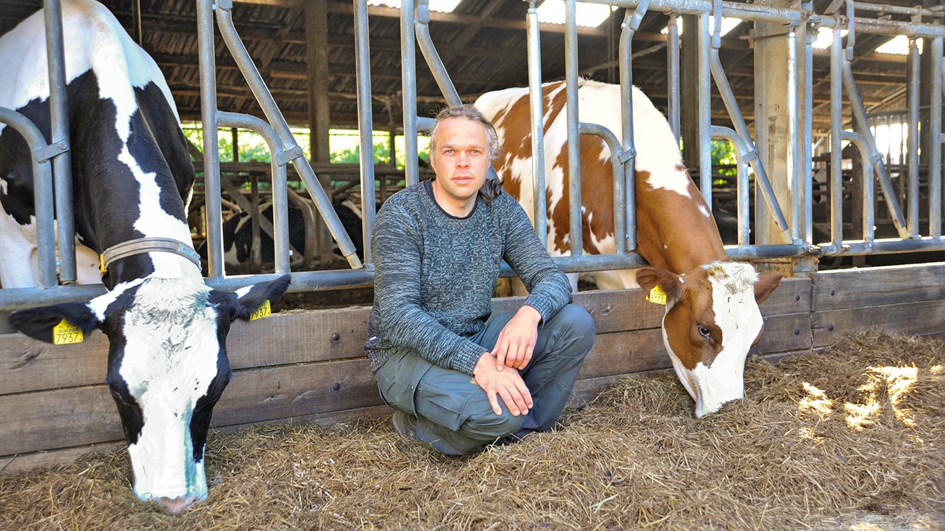 A man seated on the ground, surrounded by cows